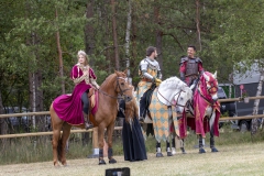 EWVL4539-Ridderschow-Media-Horses-International_1