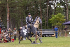 EWVL4556-Ridderschow-Media-Horses-International_2